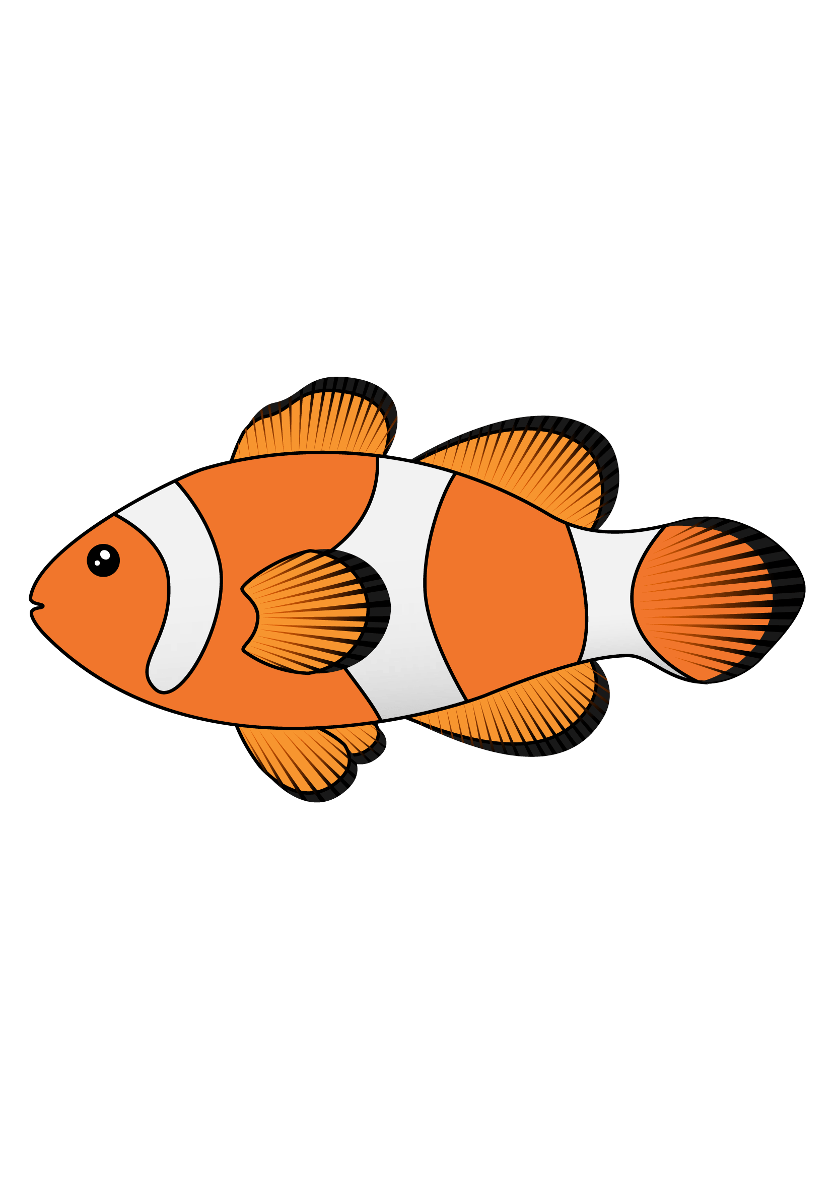 How to Draw A Clownfish Step by Step Printable