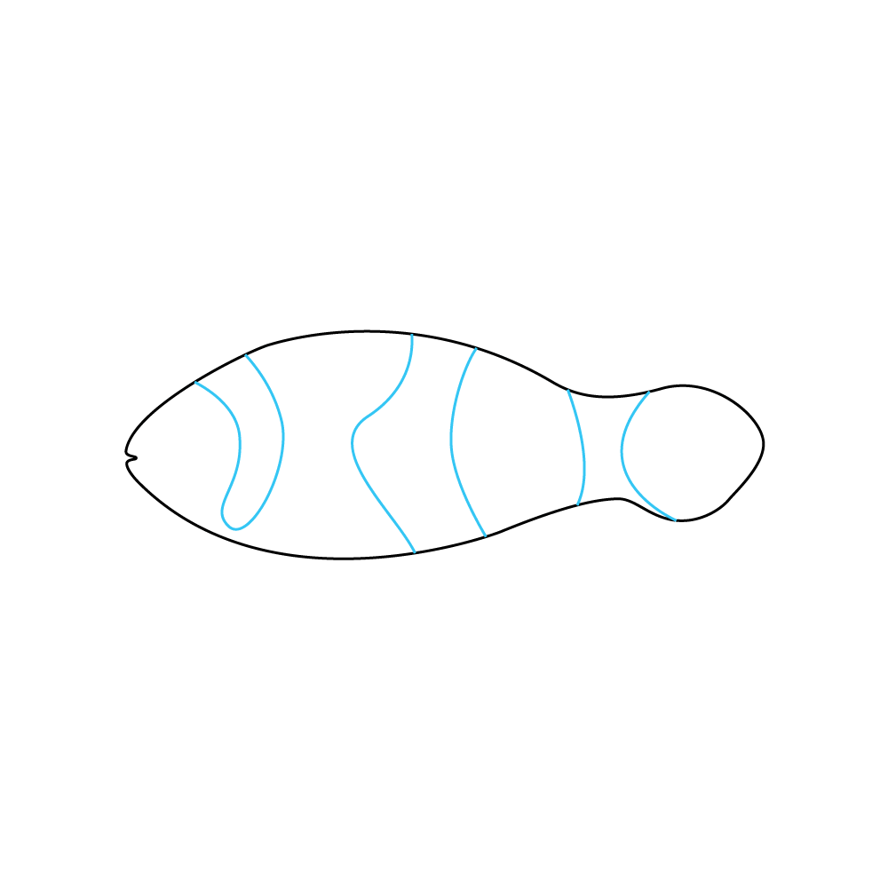 How to Draw A Clownfish Step by Step Step  3