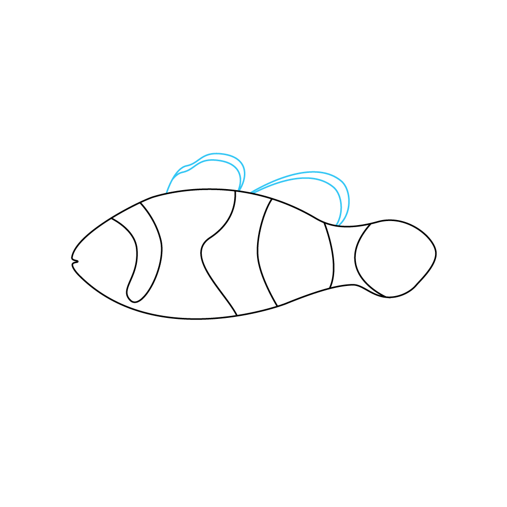 How to Draw A Clownfish Step by Step Step  4