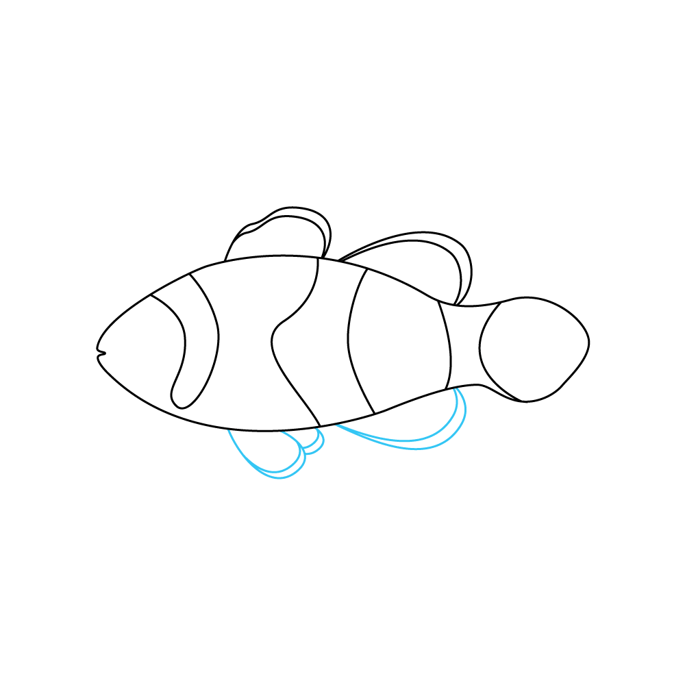 How to Draw A Clownfish Step by Step Step  5