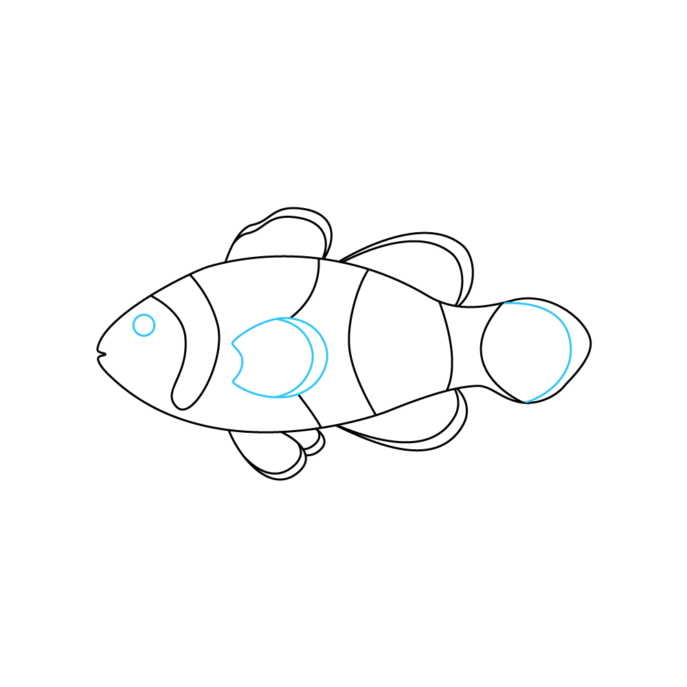 How to Draw A Clownfish Step by Step Step  6