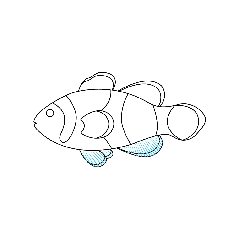 How to Draw A Clownfish Step by Step Step  7