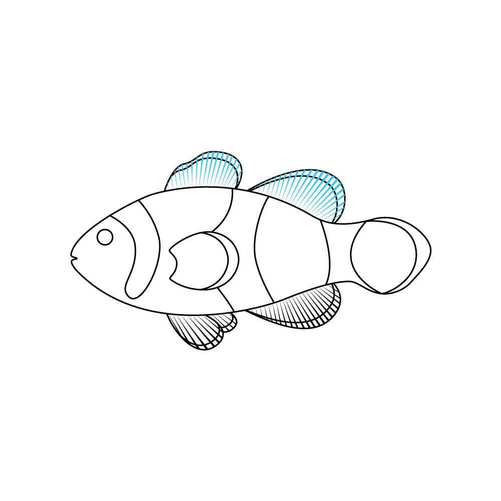 How to Draw A Clownfish Step by Step Step  8