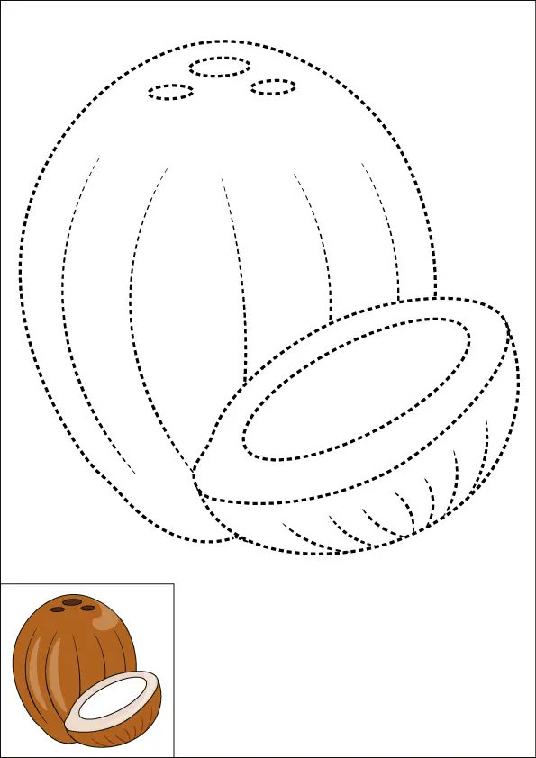 How to Draw A Coconut Step by Step Printable Dotted
