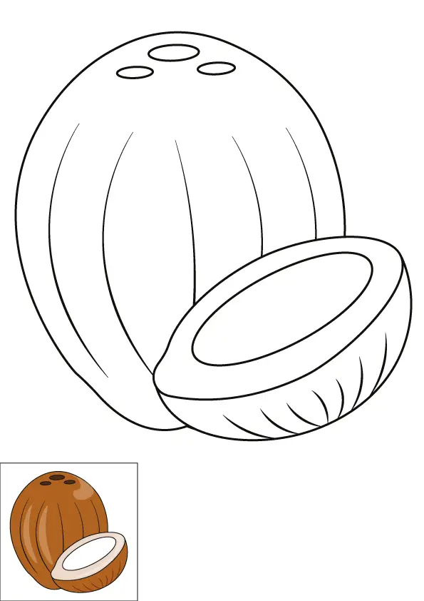 How to Draw A Coconut Step by Step Printable Color