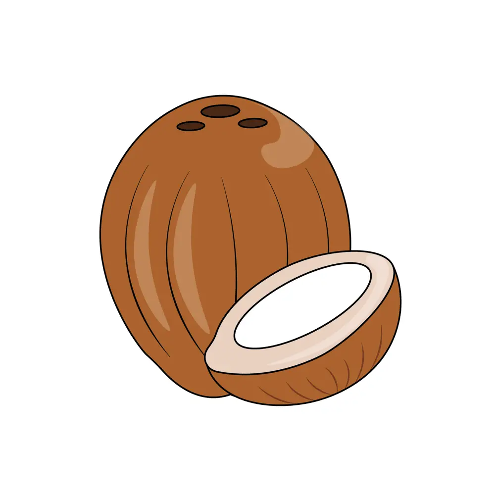 How to Draw A Coconut Step by Step Step  10