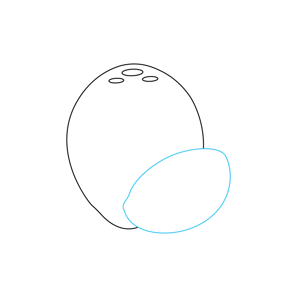 How to Draw A Coconut Step by Step Step  4