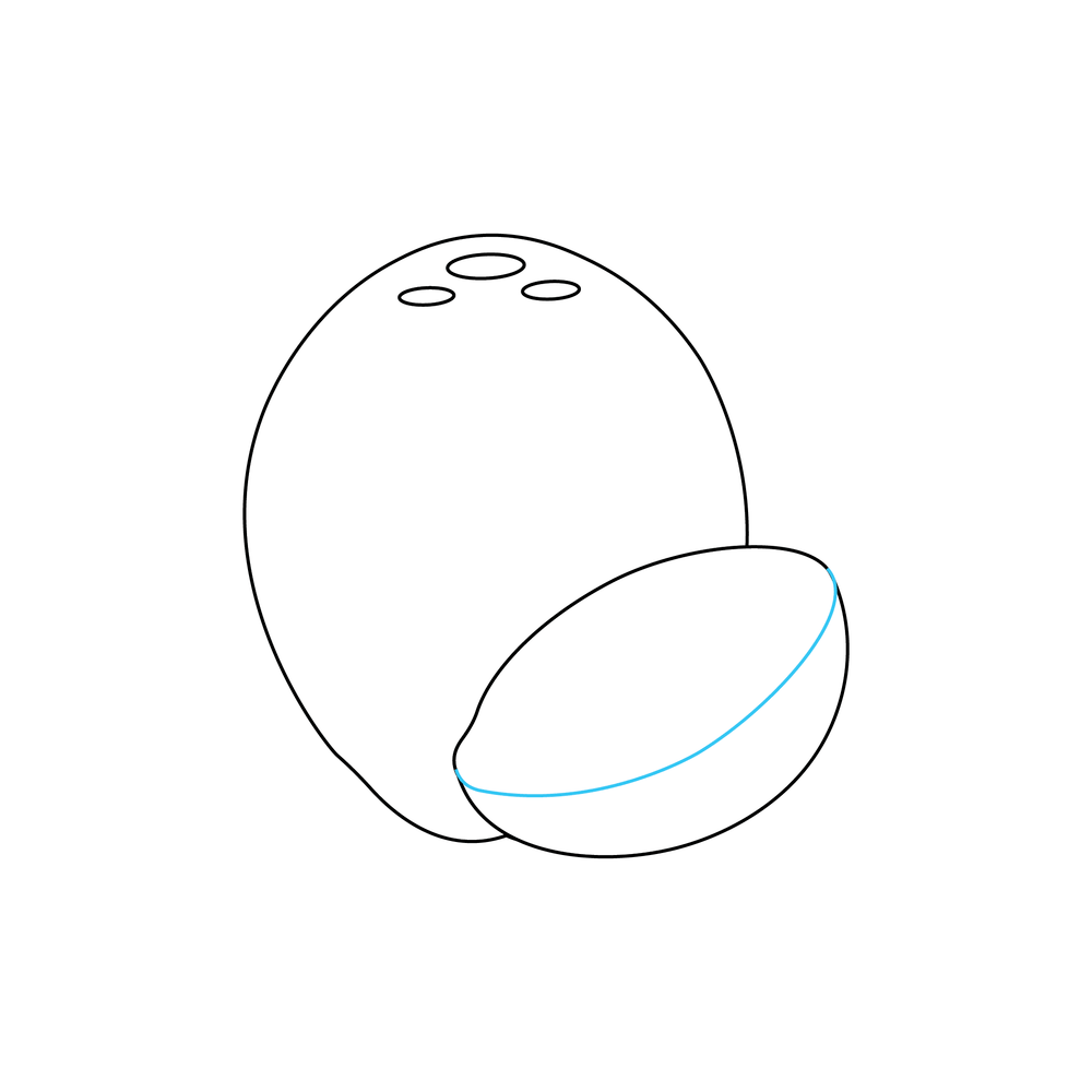 How to Draw A Coconut Step by Step Step  5