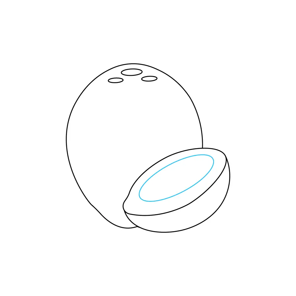 How to Draw A Coconut Step by Step Step  6