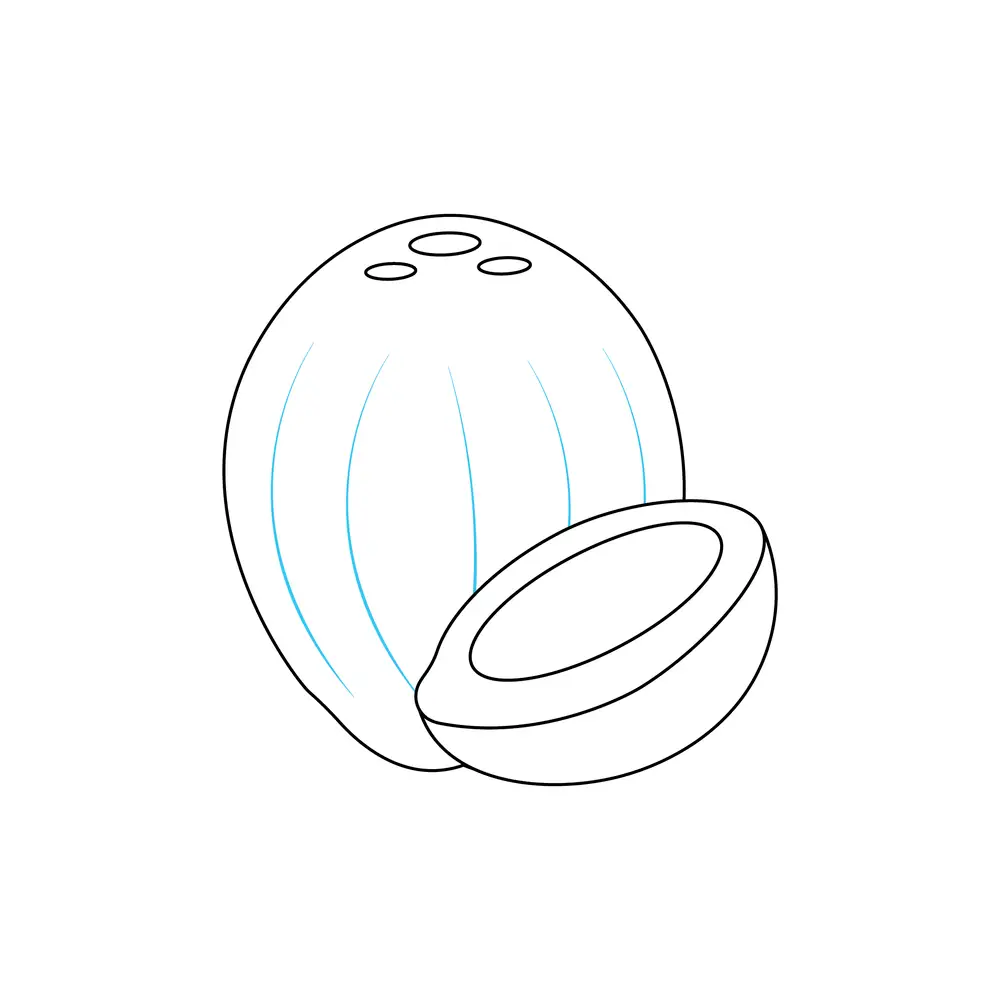 How to Draw A Coconut Step by Step Step  7