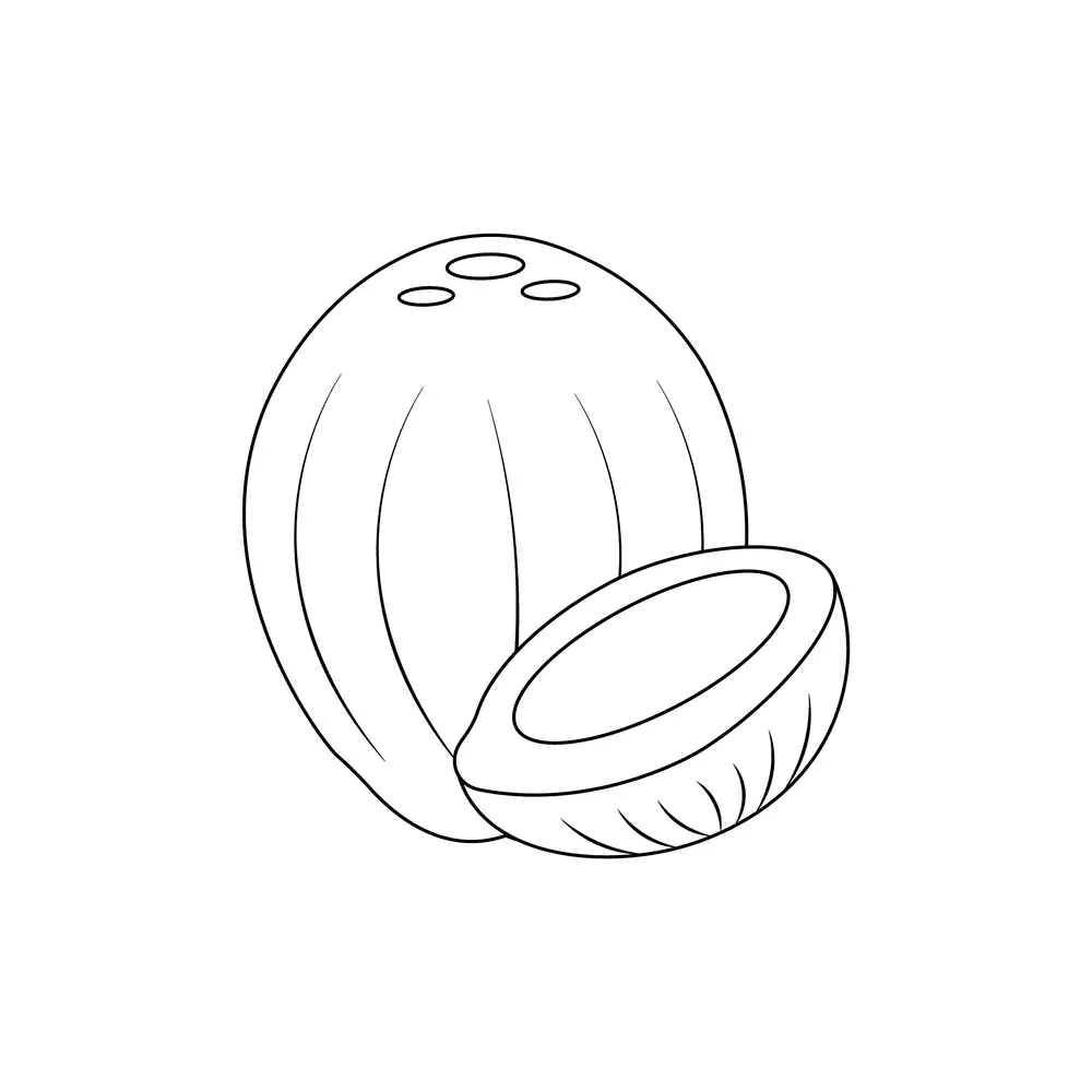 How to Draw A Coconut Step by Step Step  9