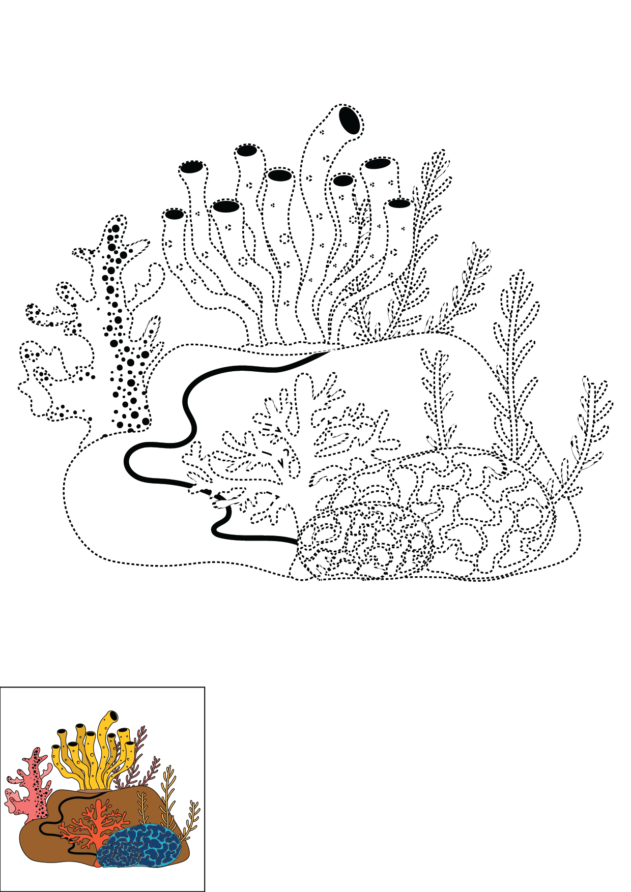 How to Draw A Coral Step by Step Printable Dotted