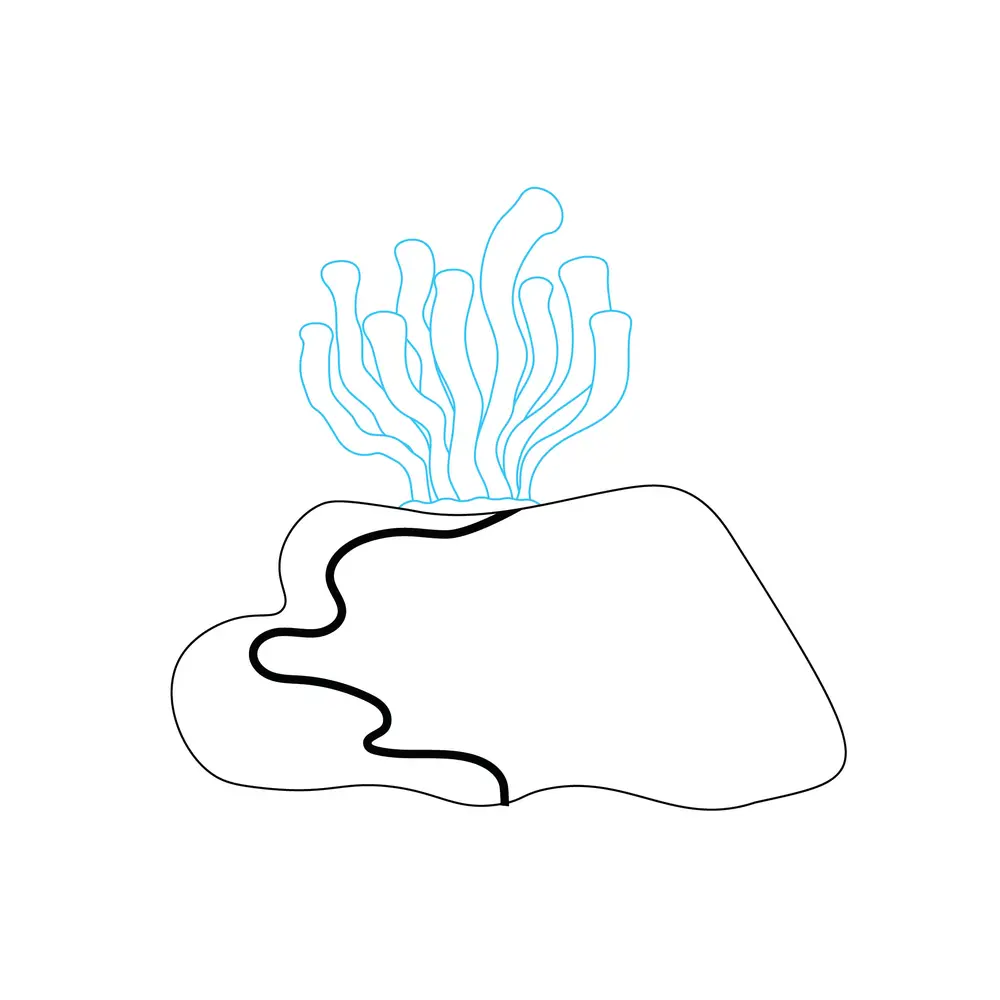 How to Draw A Coral Step by Step Step  3