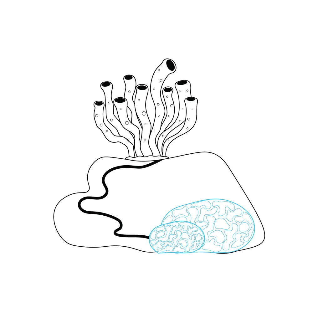 How to Draw A Coral Step by Step Step  5