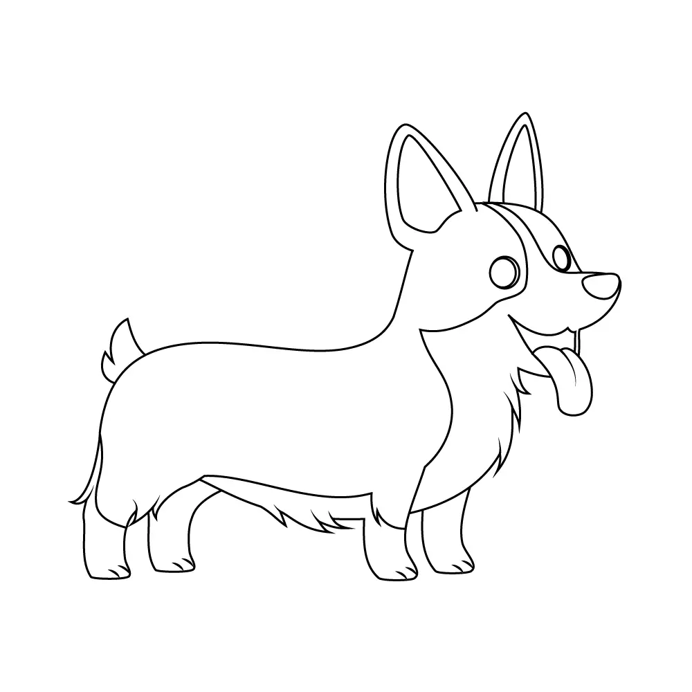 How to Draw A Corgi Step by Step Step  10