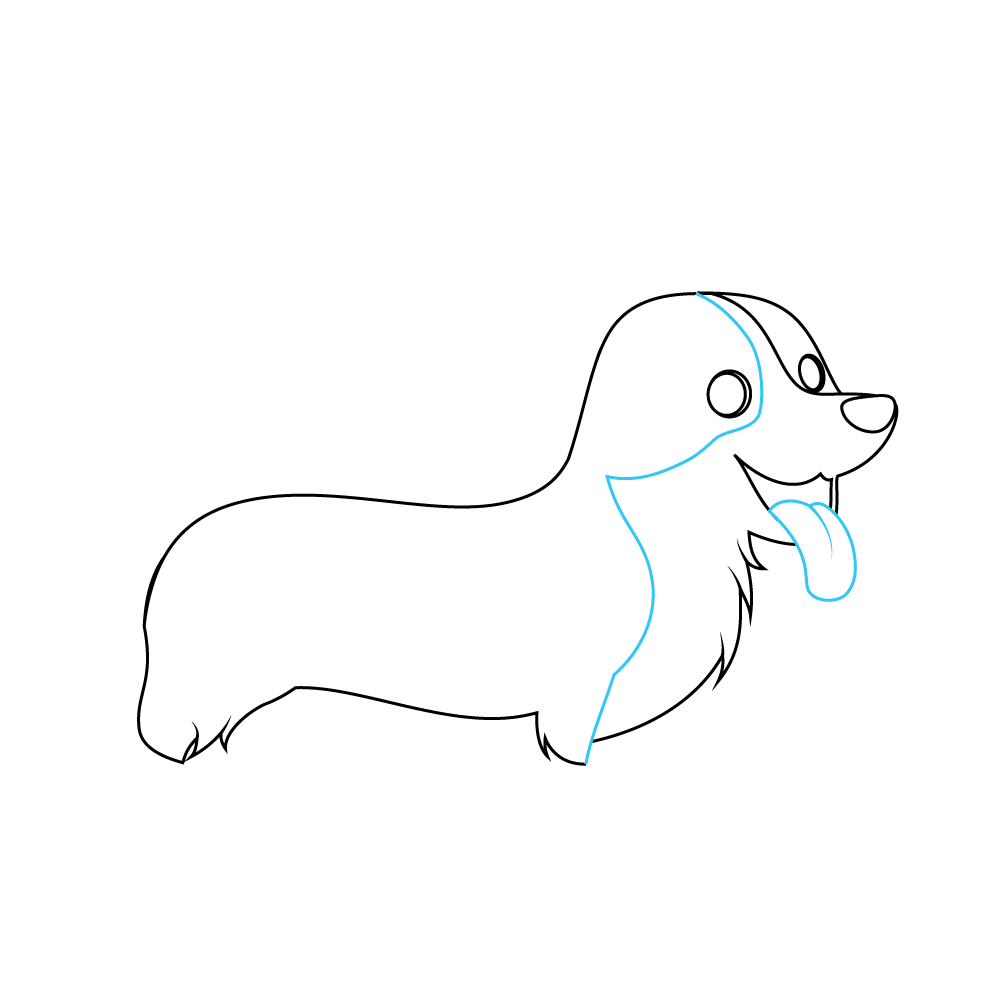 How to Draw A Corgi Step by Step Step  6