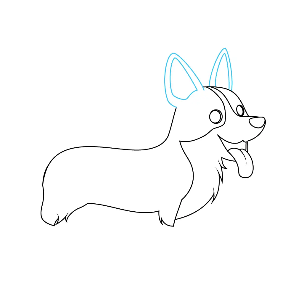 How to Draw A Corgi Step by Step Step  7