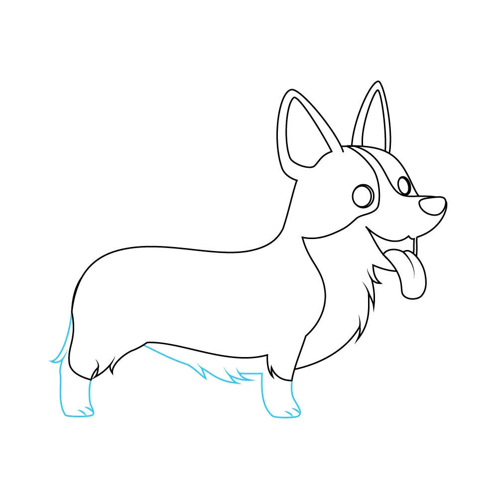 How to Draw A Corgi Step by Step Step  8