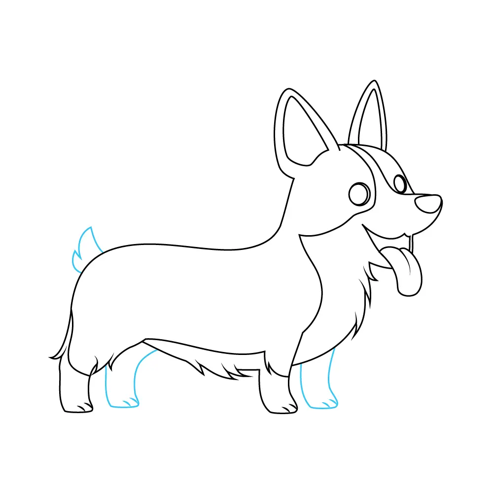 How to Draw A Corgi Step by Step Step  9