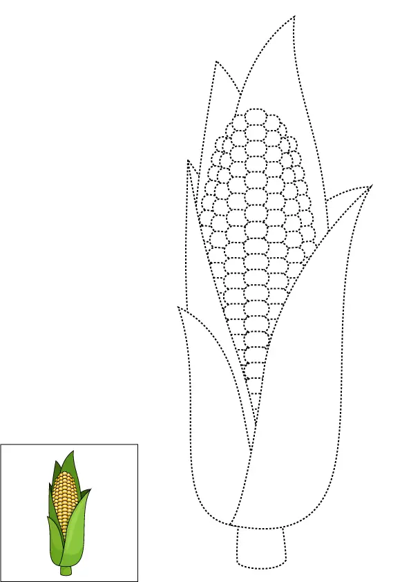 How to Draw A Corn Step by Step Printable Dotted