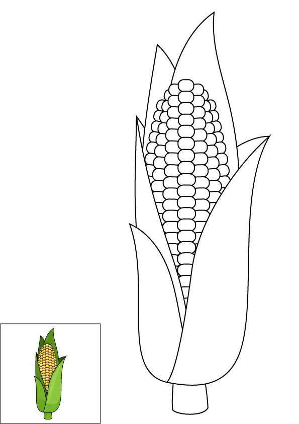 How to Draw A Corn Step by Step Printable Color