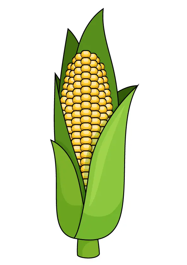 How to Draw A Corn Step by Step Printable