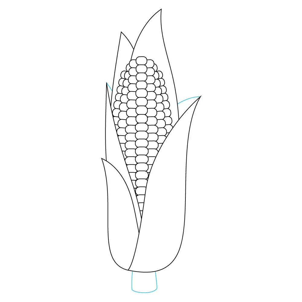 How to Draw A Corn Step by Step Step  10