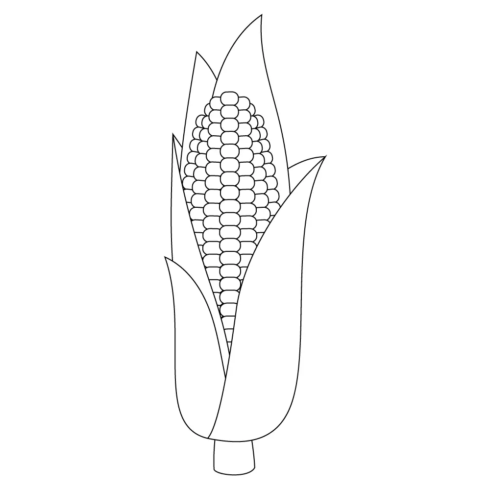 How to Draw A Corn Step by Step Step  11