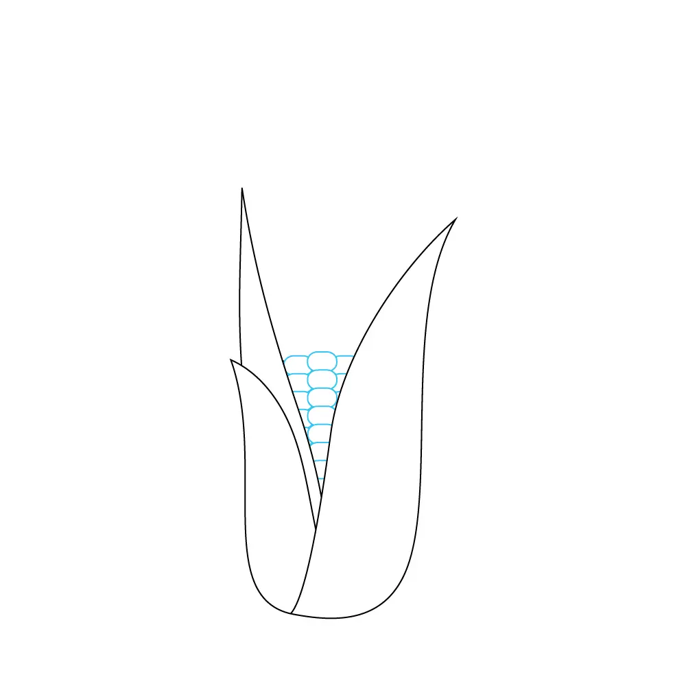 How to Draw A Corn Step by Step Step  4