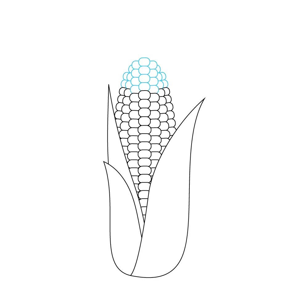 How to Draw A Corn Step by Step Step  8