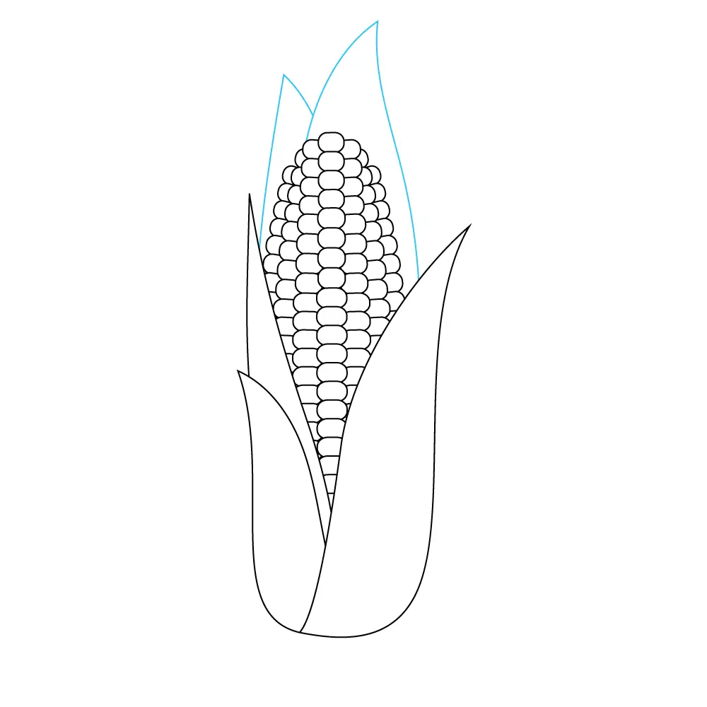 How to Draw A Corn Step by Step Step  9