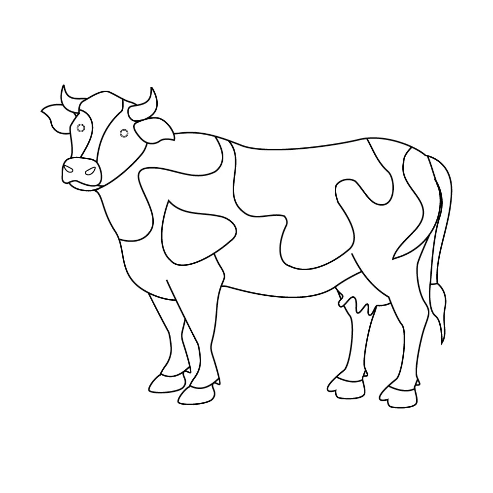 How to Draw A Cow Step by Step Step  10