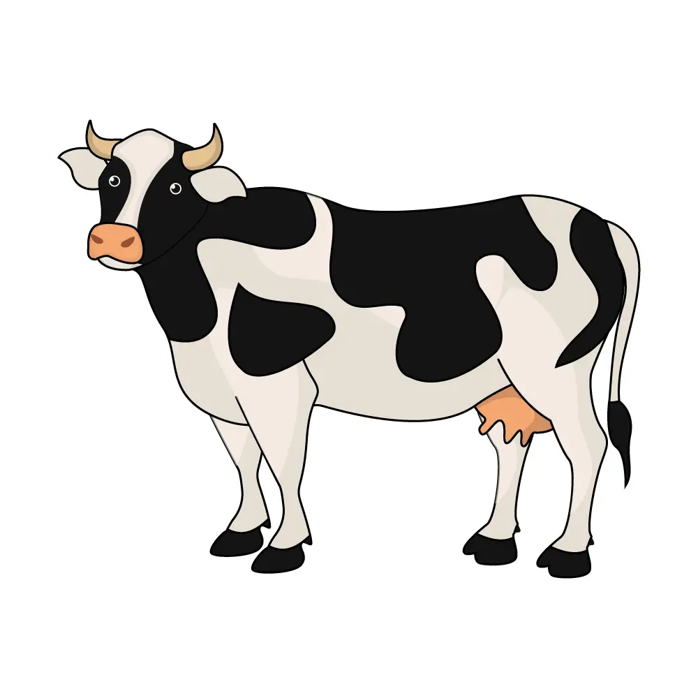 How to Draw A Cow Step by Step Step  11