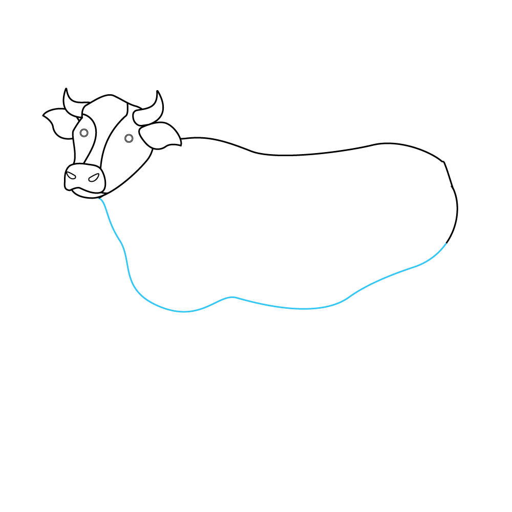 How to Draw A Cow Step by Step Step  5