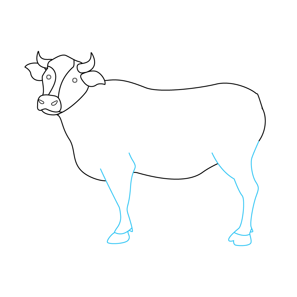 How to Draw A Cow Step by Step Step  6