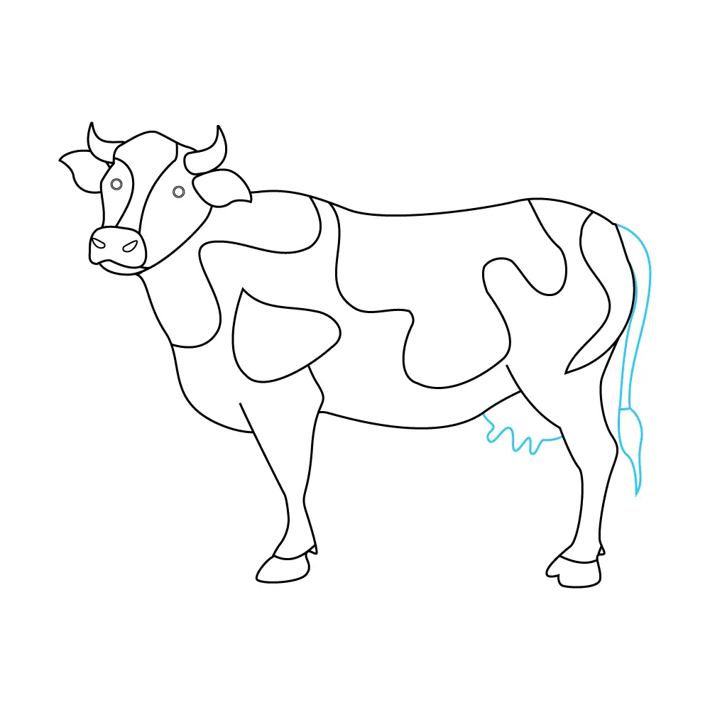 How to Draw A Cow Step by Step Step  8