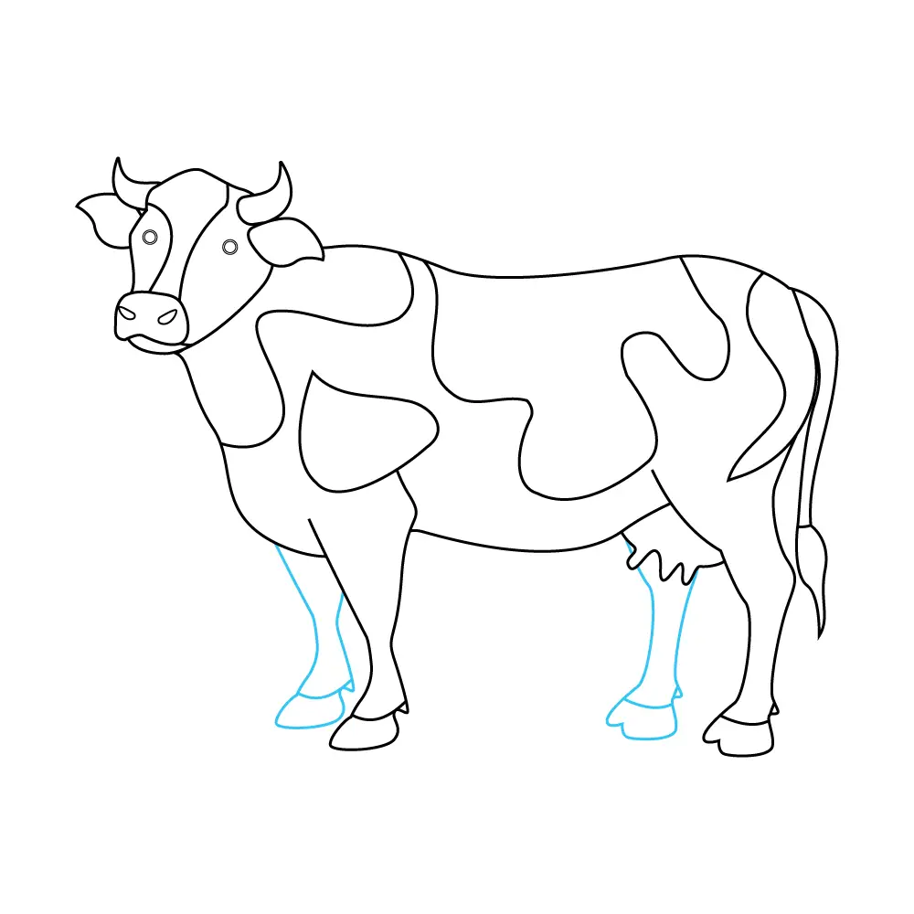 How to Draw A Cow Step by Step Step  9