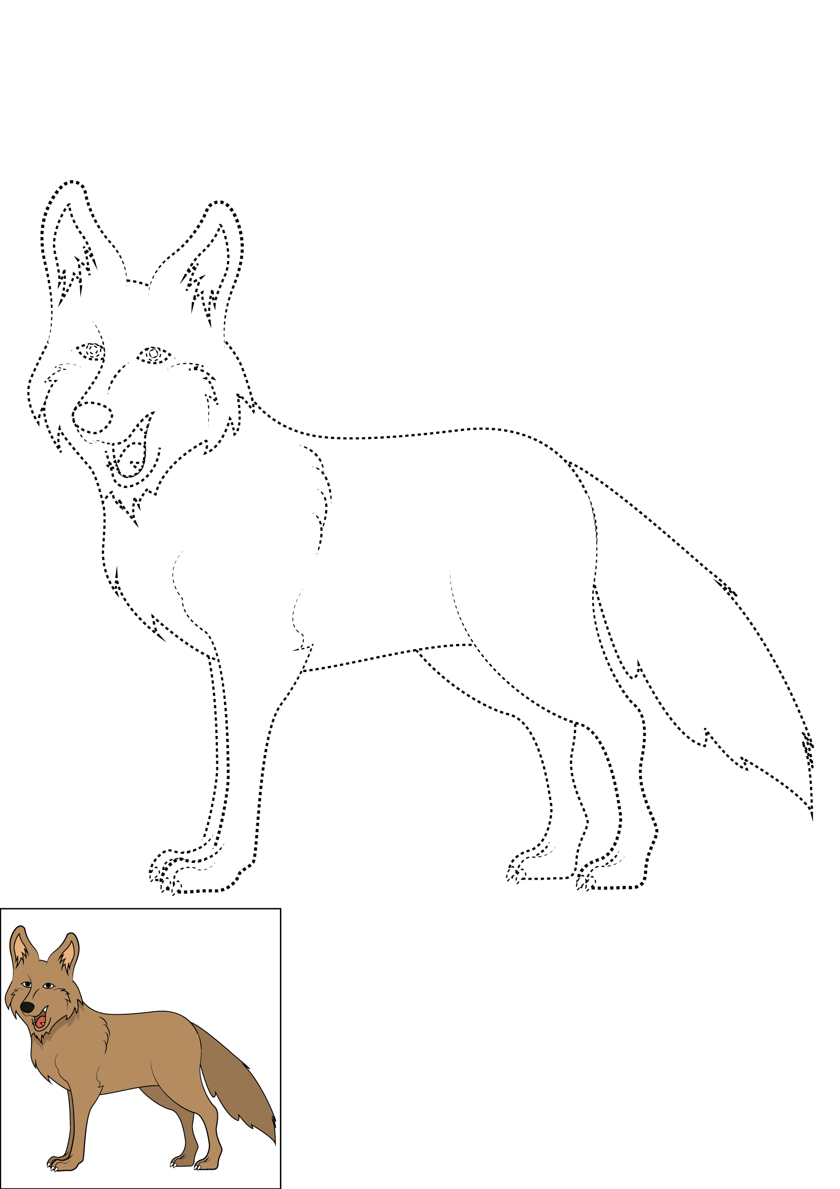 How to Draw A Coyote Step by Step Printable Dotted