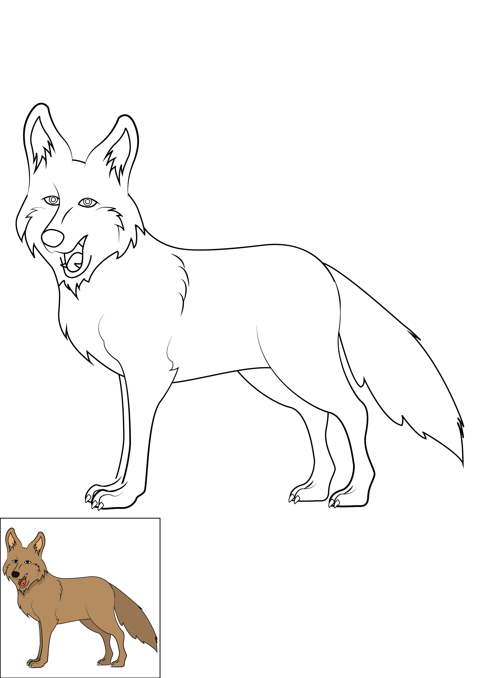 How to Draw A Coyote Step by Step Printable Color