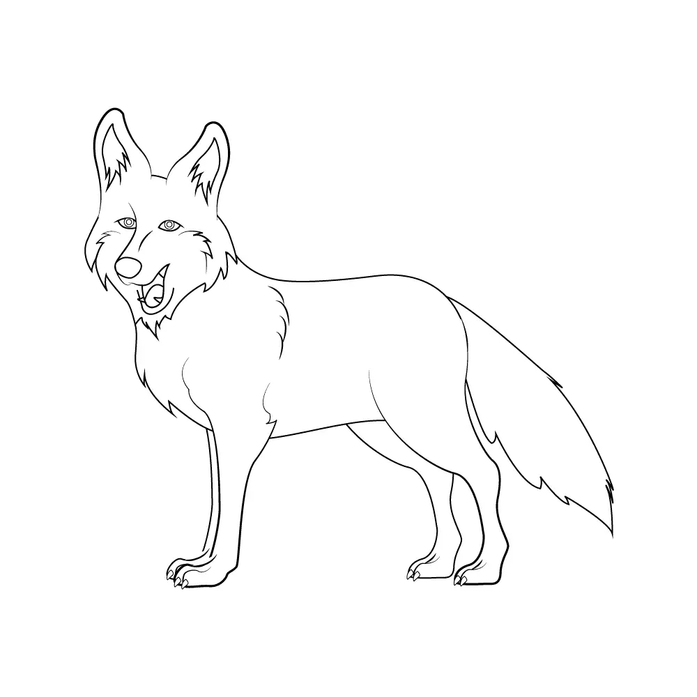 How to Draw A Coyote Step by Step Step  10