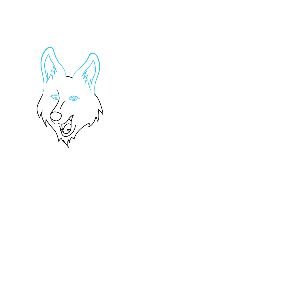 How to Draw A Coyote Step by Step Step  3