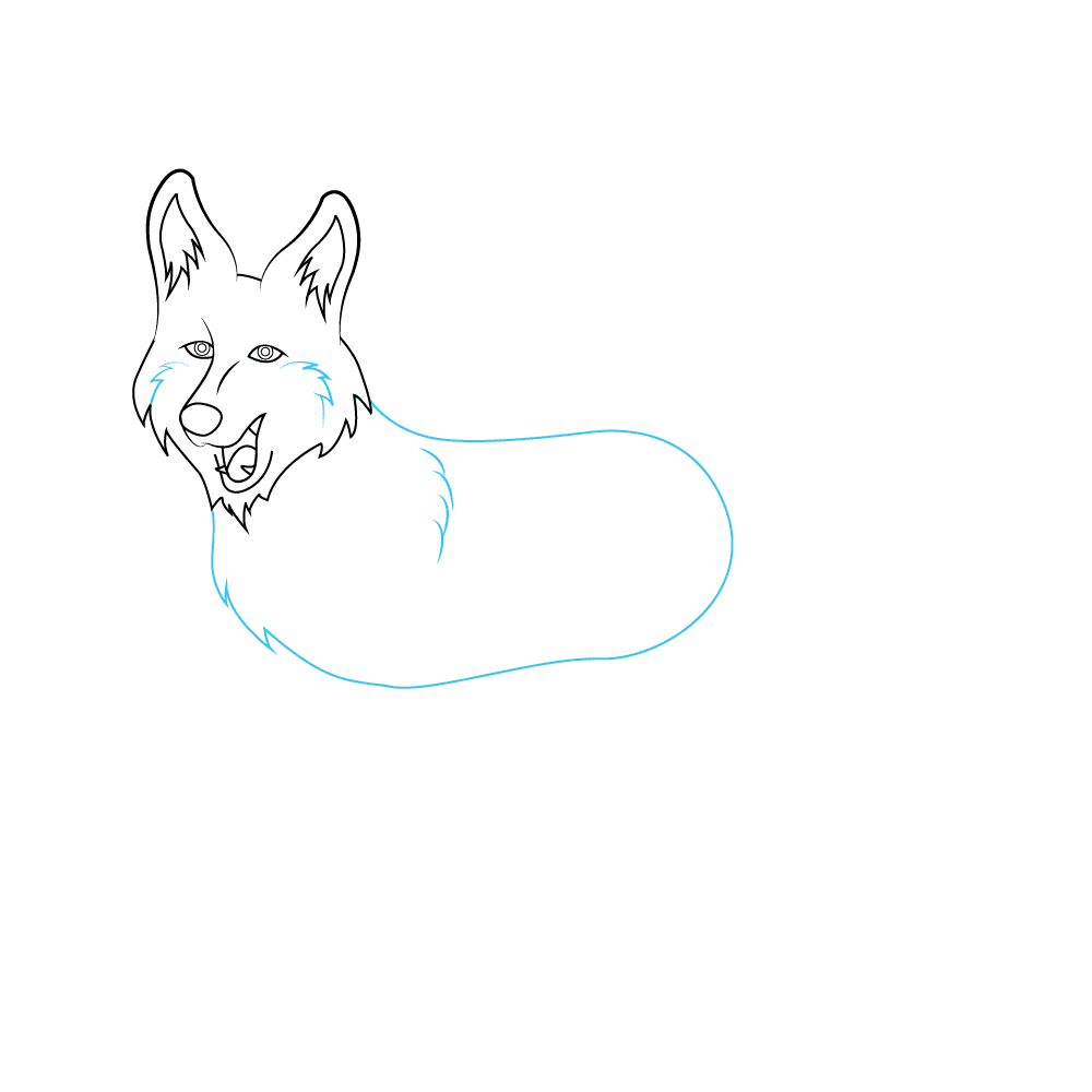 How to Draw A Coyote Step by Step Step  4