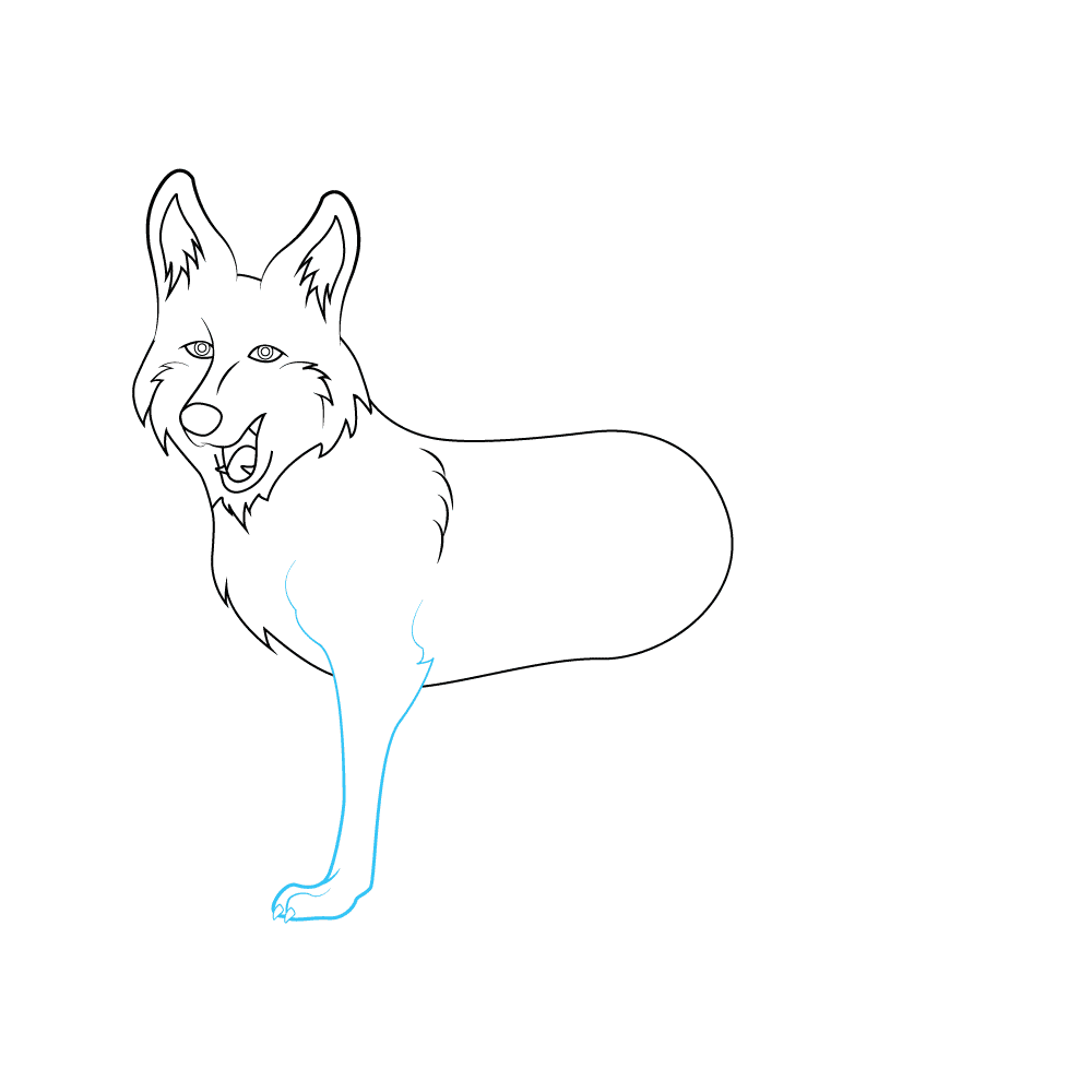 How to Draw A Coyote Step by Step Step  5