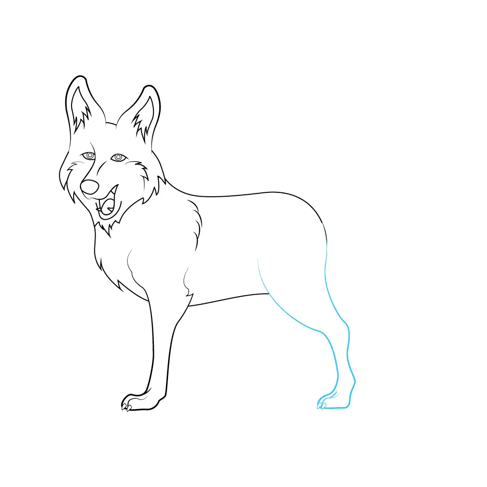 How to Draw A Coyote Step by Step Step  6