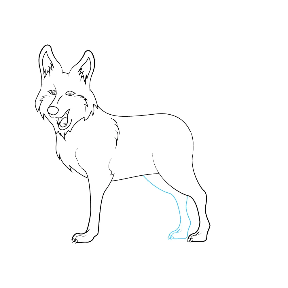 How to Draw A Coyote Step by Step Step  7