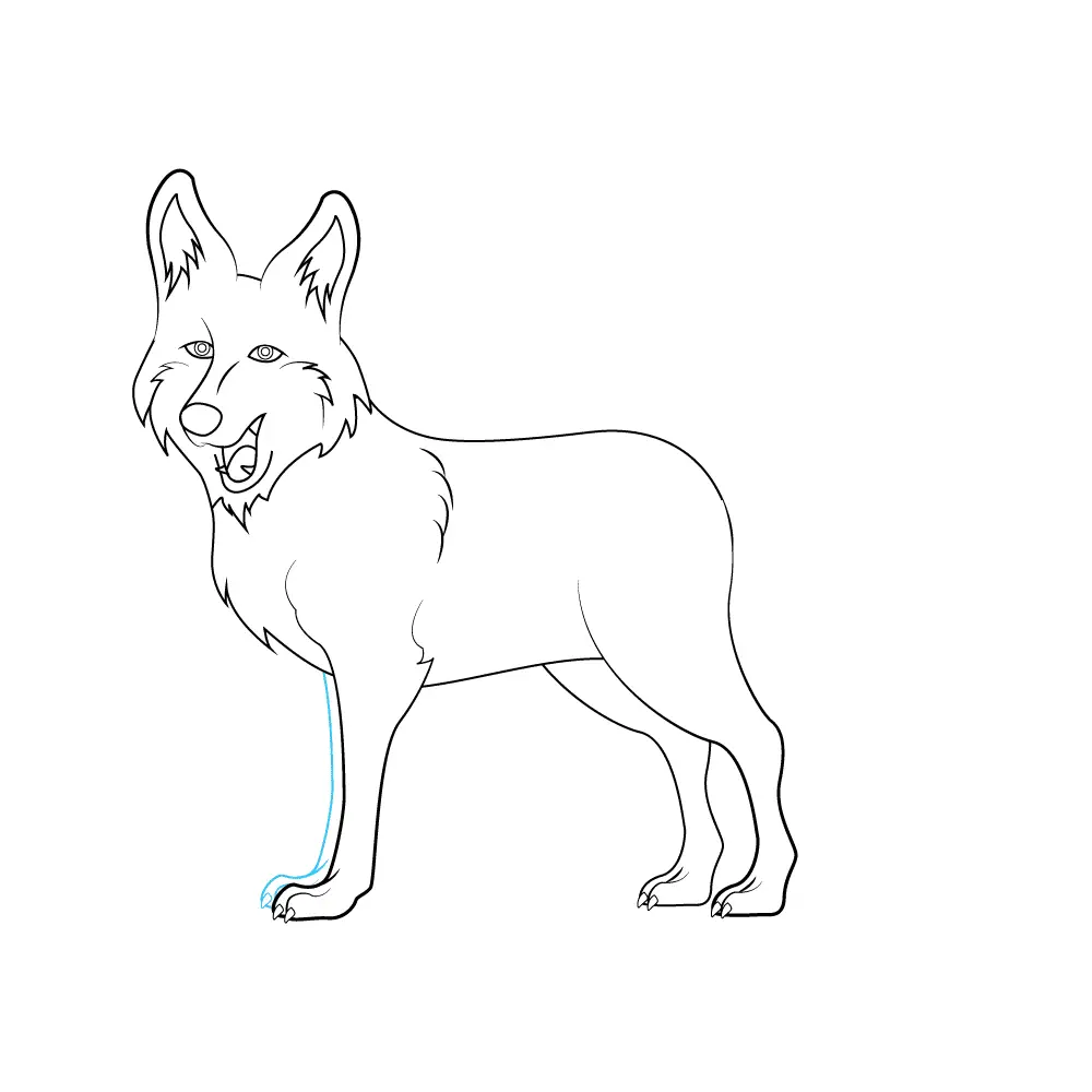 How to Draw A Coyote Step by Step Step  8