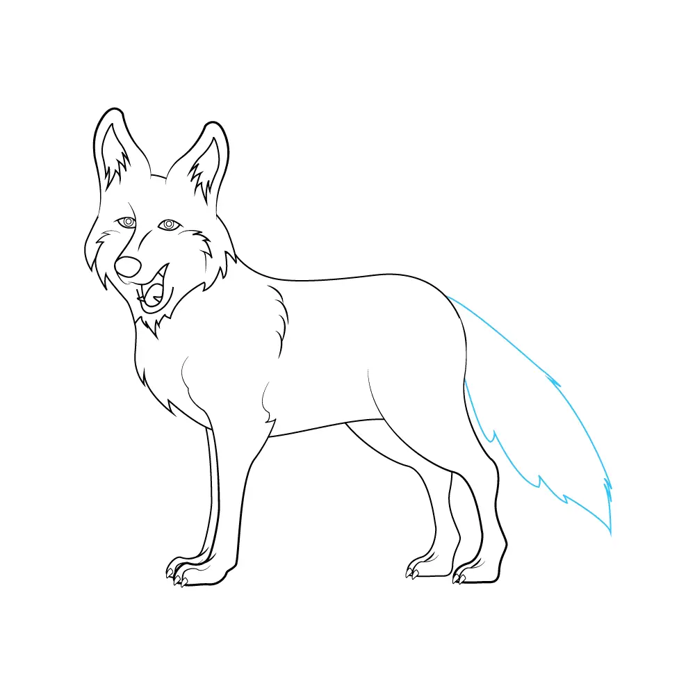 How to Draw A Coyote Step by Step Step  9