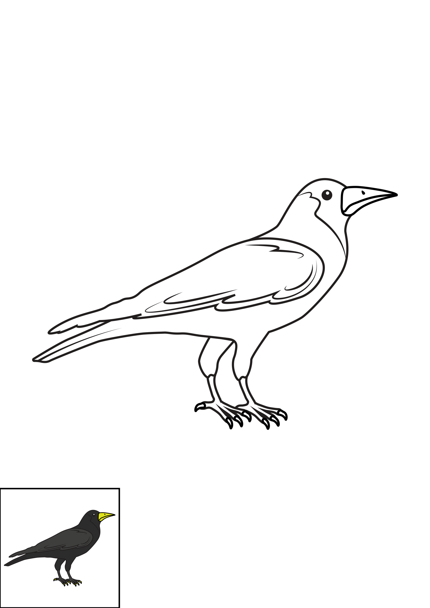 How to Draw A Crow Step by Step Printable Color