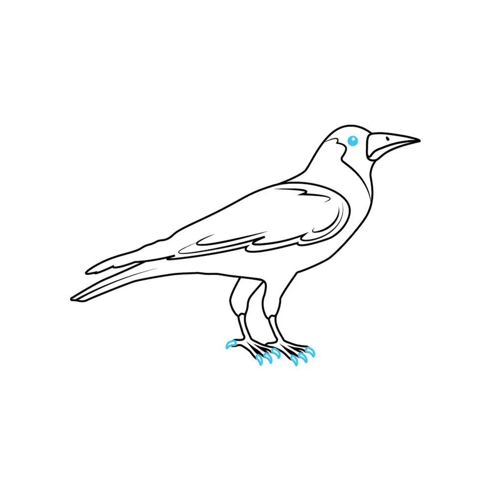 How to Draw A Crow Step by Step Step  8