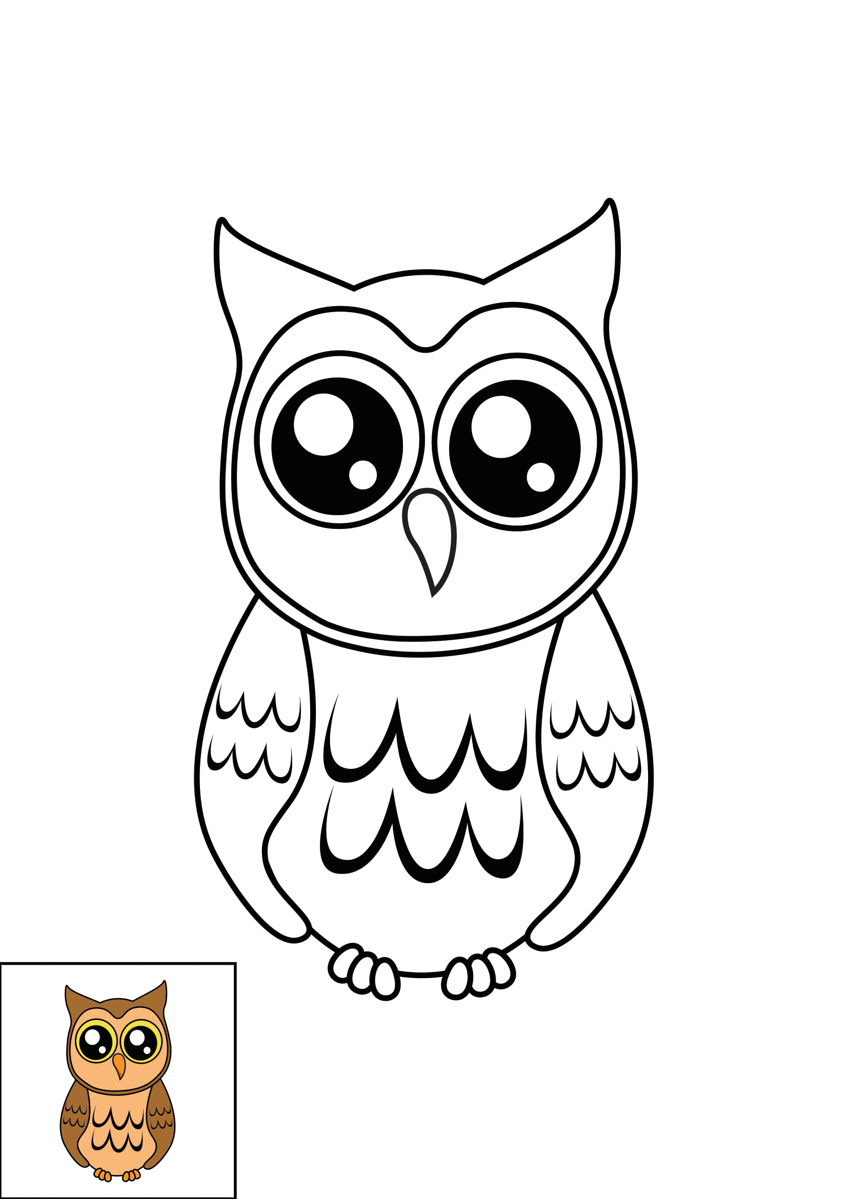 How to Draw A Cute Owl Step by Step Printable Color